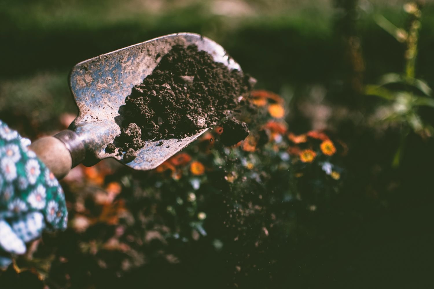 Landscaping & Ground Preparation example 5